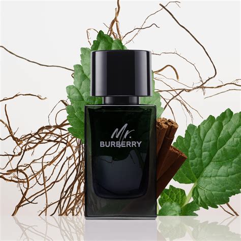 mr burberry pubblicita|Mr. Burberry Eau de Parfum 150ml .